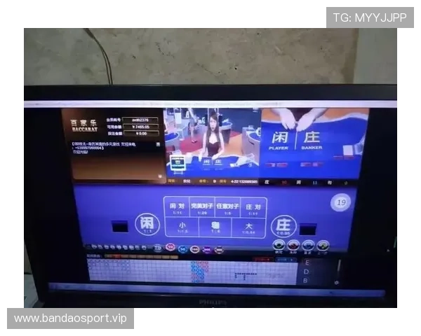 百家乐跳龙最新数据发布及走势分析趋势持续显现实时深度解读